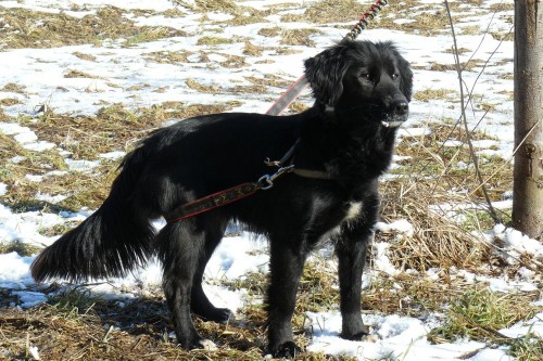 Darujeme fenku k��ence