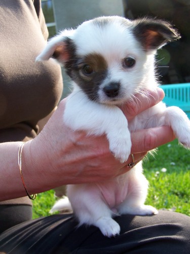 �IVAVA �T���TKA