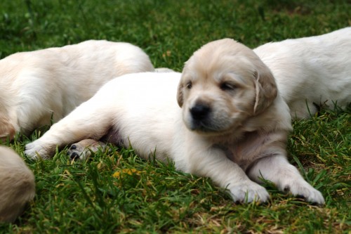 prod�m �t�n�