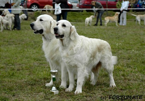 �t���tka -Zlat� retr�vr