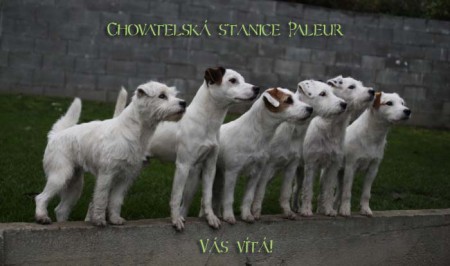 Paleur