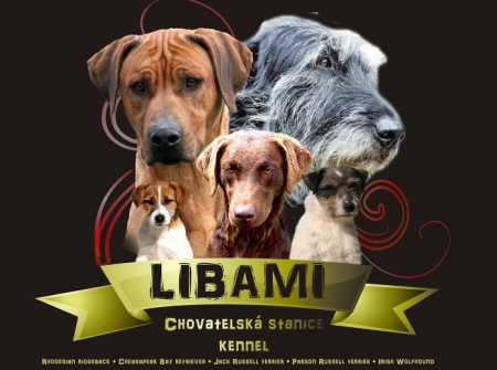 Libami