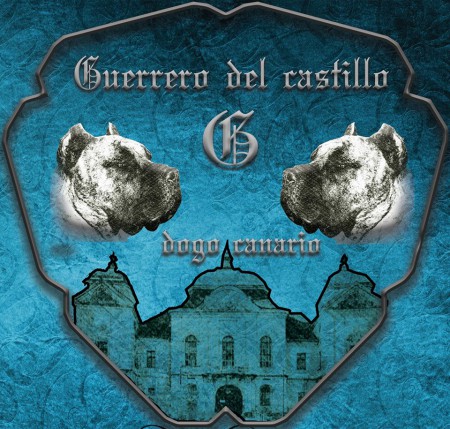 Guerrero del castillo