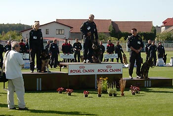 Trojice nejlep��ch v kategorii hl�dkov�ch ps�