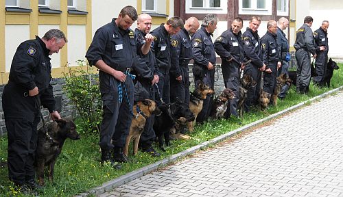 Nástup psovodů