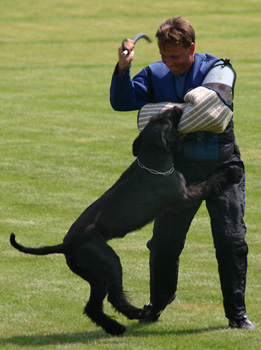 Challenger Pip Str�ce klidu