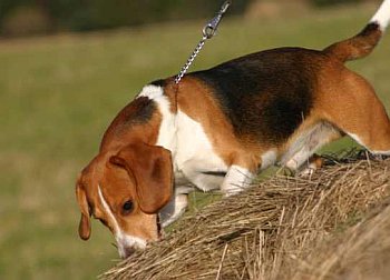 Vy�muchej si slevu na krmen�