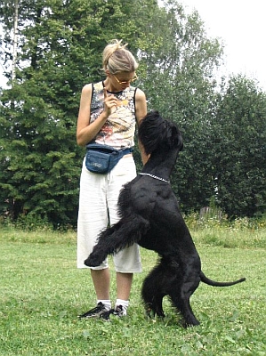 Tereza Kimplov� a Galant Zorro Radinie