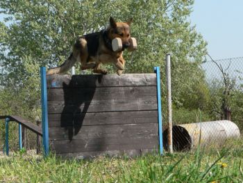 Chalan tentokr�t p�i aportu...