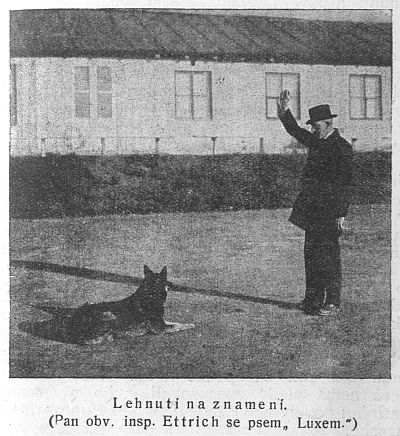 Lehnutí na znamení