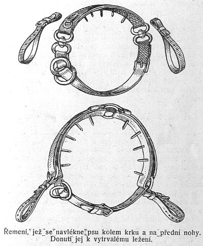 Řemení, jež se navlékne psu kolem krku.