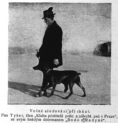 Volné sledování při chůzi.