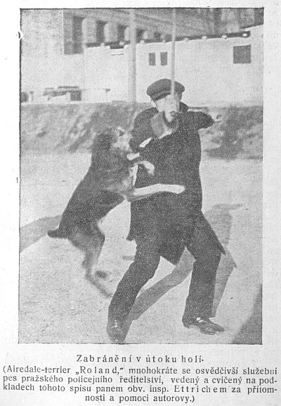 Zabránění v útoku holí