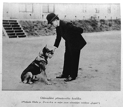 Odevzdávání přinešeného kozlíku