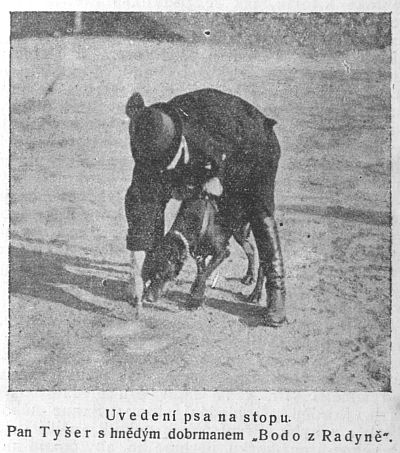 Uvedení psa na stopu