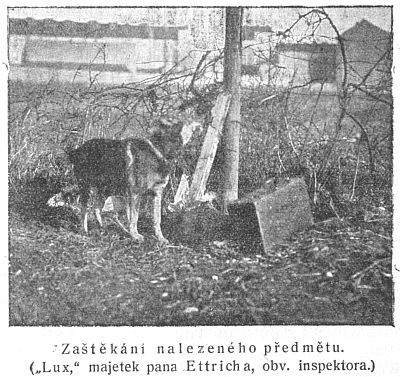 Zaštěkání nalezeného předmětu