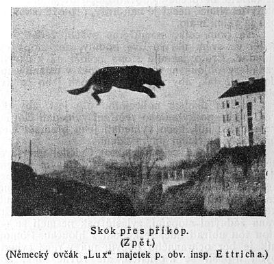 Skok přes příkop - zpět