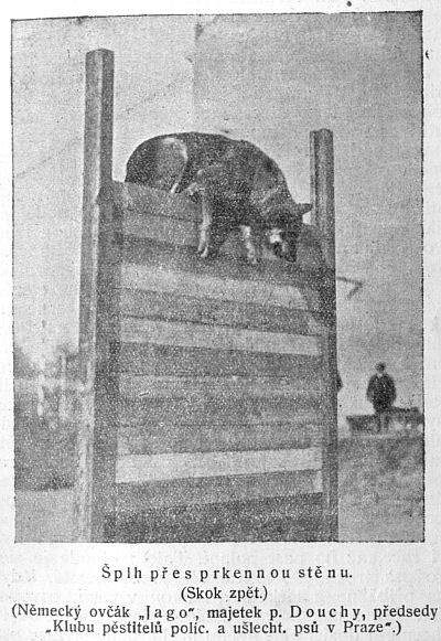 Šplh přes prkennou stěnu - skok zpět