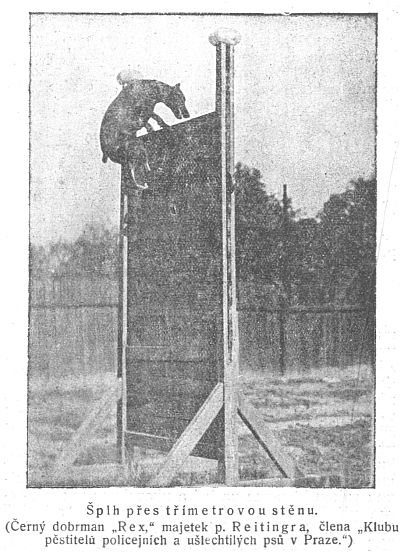 Šplh přes třímetrovou stěnu