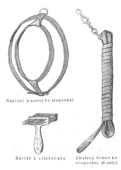 Postroj, kartáč a řemen