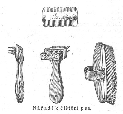 Nářadí k čistění psa