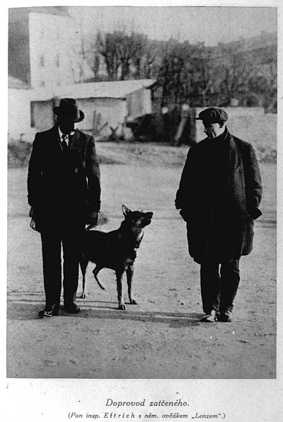 Doprovod zatčeného