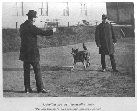 Odvol�n� psa od dopaden�ho mu�e