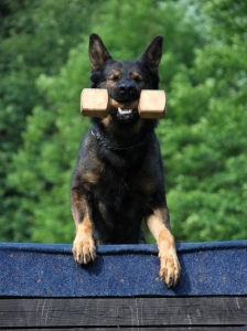 Aport přes áčko...