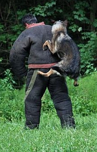 hladk� zadr�en�...