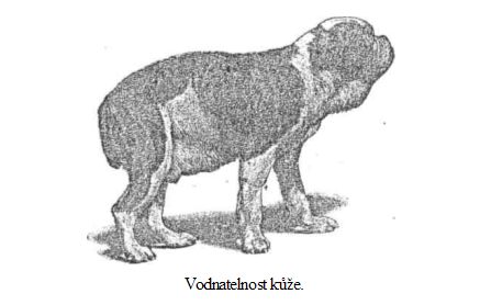 Vodnatelnost k��e