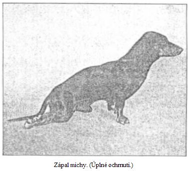 Z�pal m�chy. (�pln� ochrnut�.)