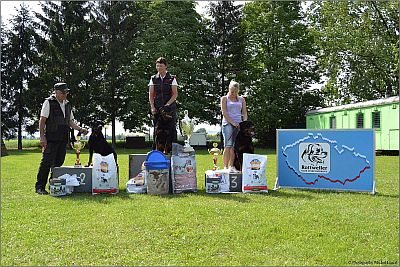 Stupně vítězů IPO 3