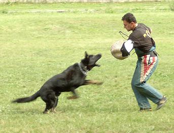 N�cvik tzv. "kontrol�ku"