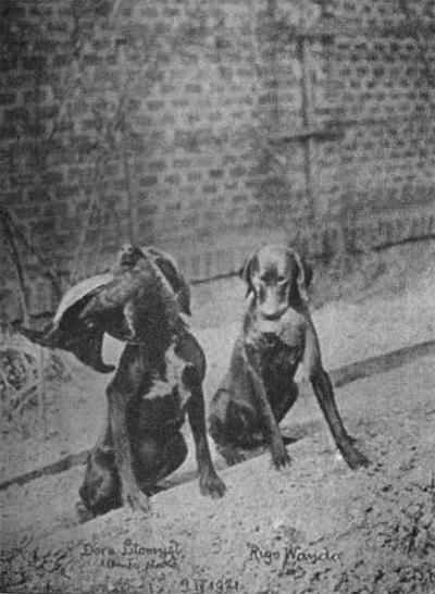 Prv� ko�ist' dv�ma 10-tim�s. cvi�enc�m podan�.