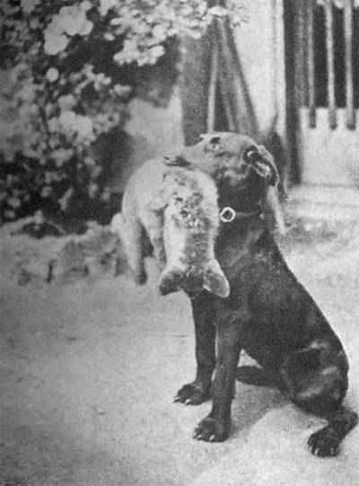 Cvik s li��etem. Prv� p�inesen� z p�inucen�.