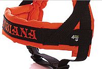 Ps� pohod�� 4dox