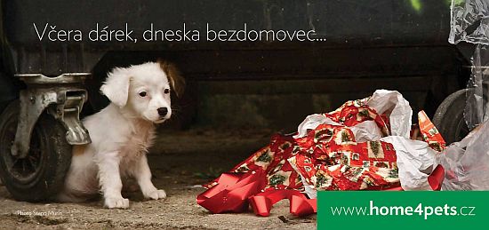 Povánoční bezdomovci