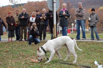 Sout� o poh�r ps� �koly Pun�a