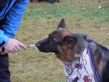 V�no�n� klubov� z�vod KK Brno - Rybn��ek