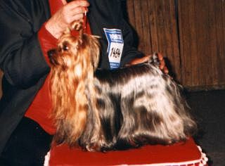 I. CH. Fant�sia Delle Antiche Mura